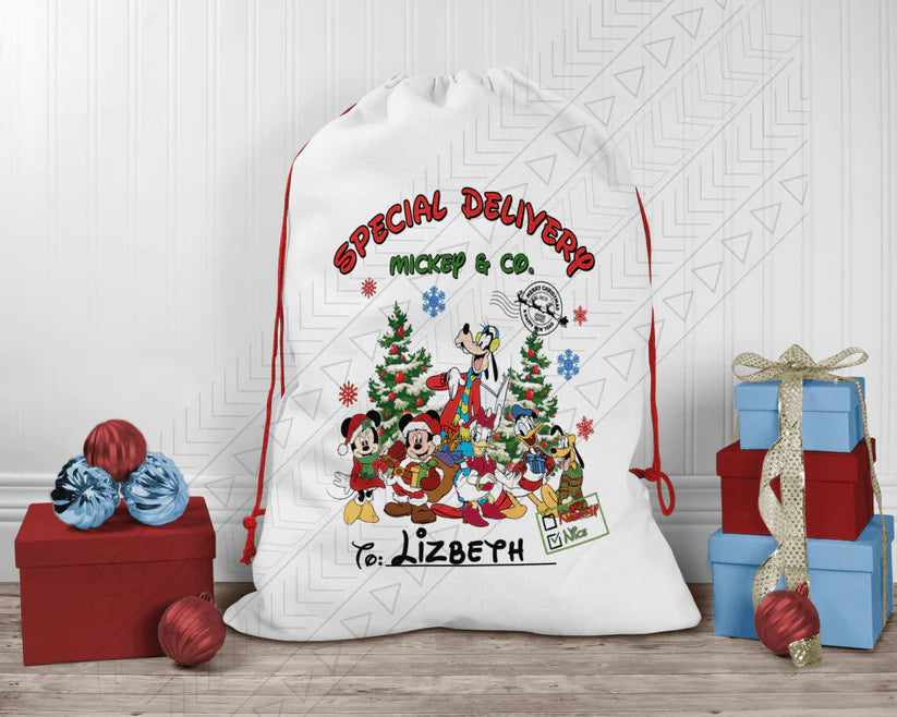 Mickey Mouse Santa Bag